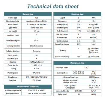 Silnik elektryczny jednofazowy 3kW 2800 obr/min. 100 B3